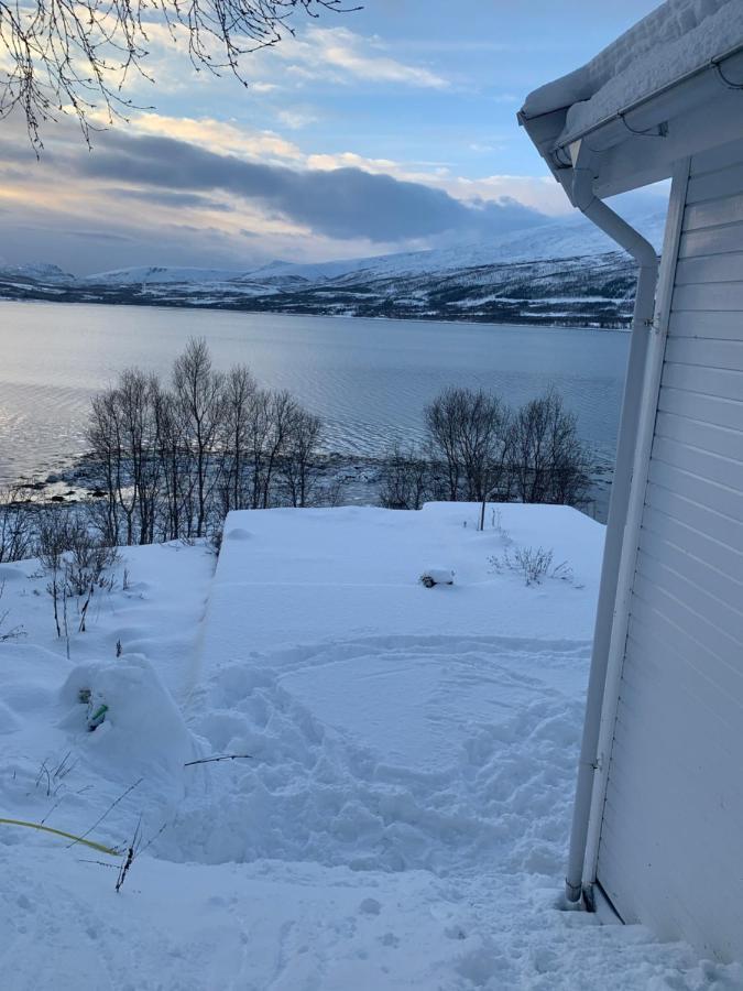 Hakoyveien 151, Tromso Hotel ภายนอก รูปภาพ