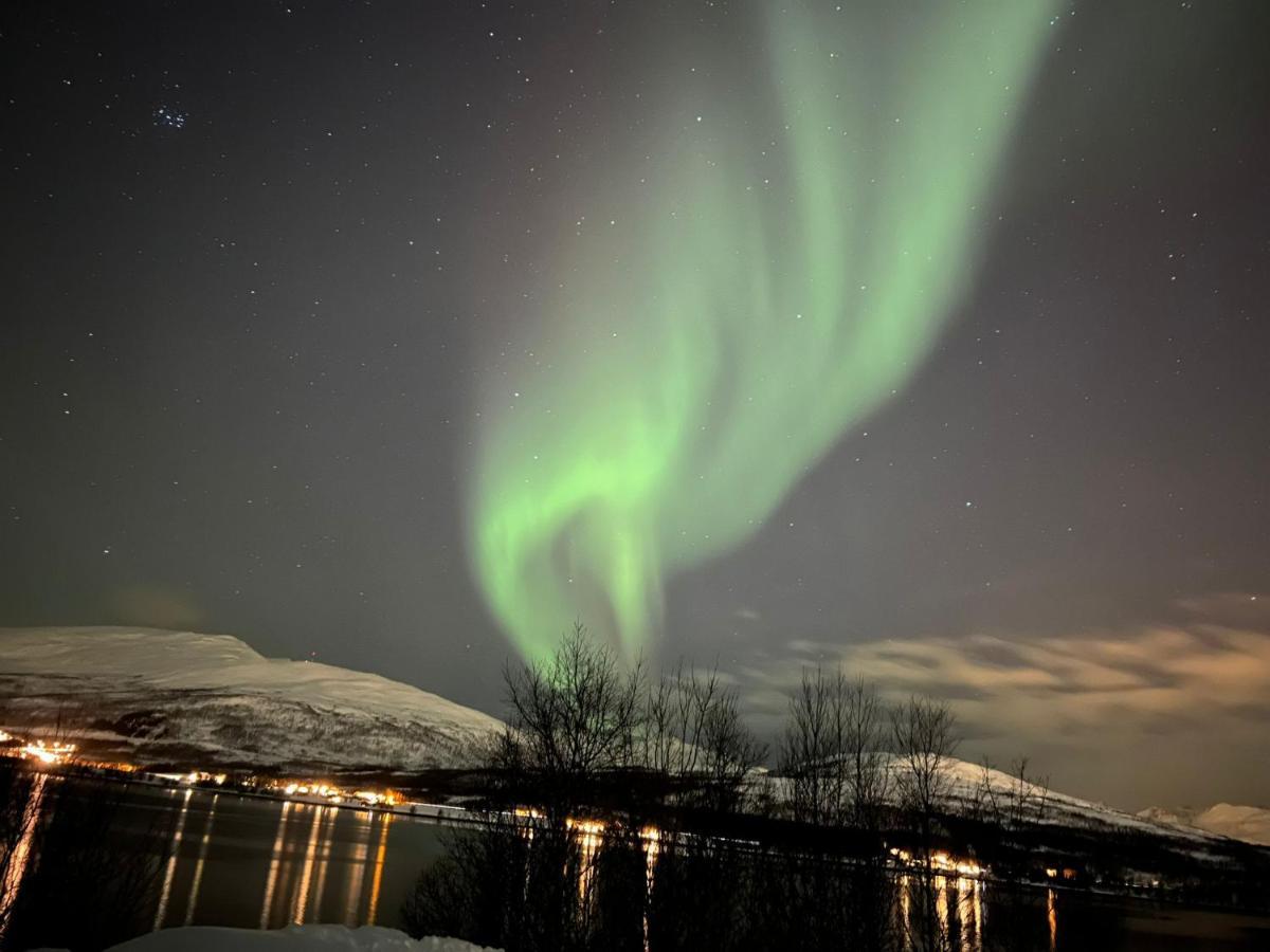 Hakoyveien 151, Tromso Hotel ภายนอก รูปภาพ